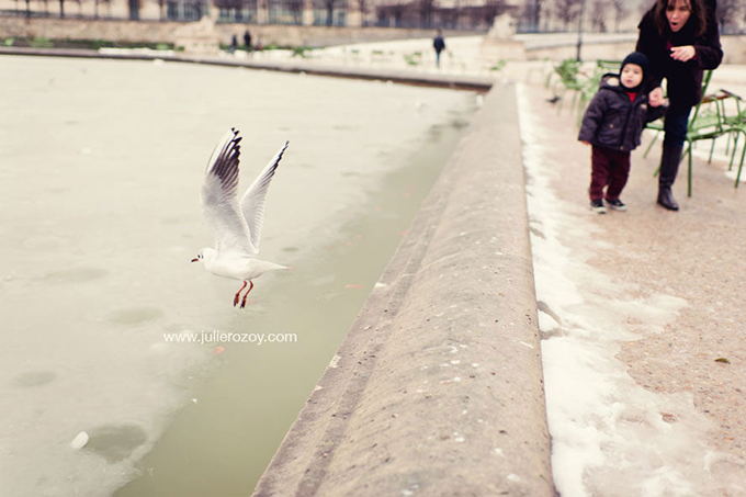 Séance photos famille, Paris (75) : Diego et ses parents_7