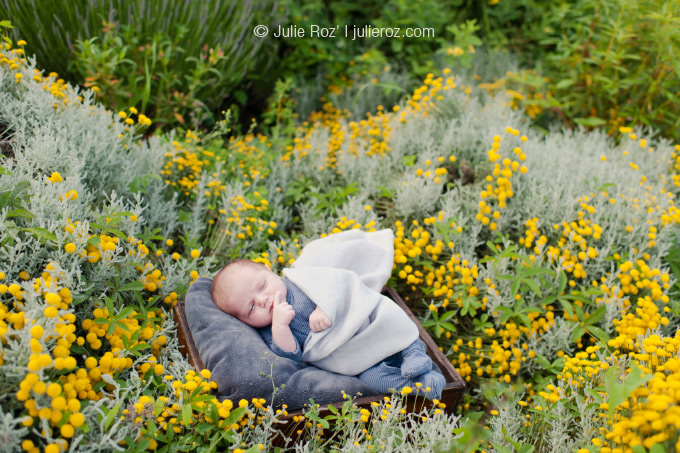 15photographebebefleursissylesmoulineaux_3 Photographe bébé Issy les Moulineaux : séance photos Tom_12