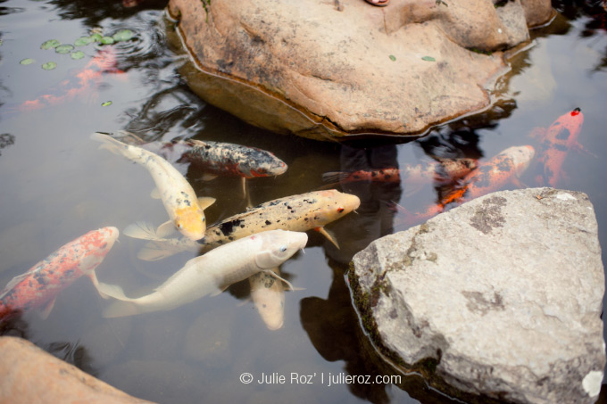 Photographe enfants Paris et région parisienne, Boulogne (92) : Thibault et Charles_4