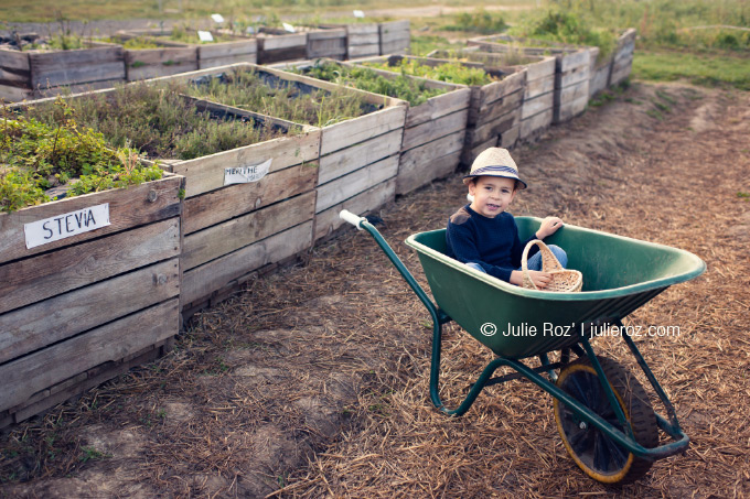 Photographe famille Yvelines, séance photo famille Yvelines 78 : Théo et Lucas_15