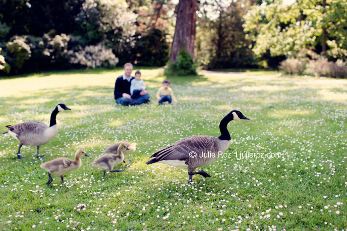 Séance photos famille Paris : Gaspard & Arthur_16