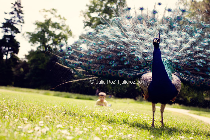 Séance photos famille Paris : Gaspard & Arthur_33
