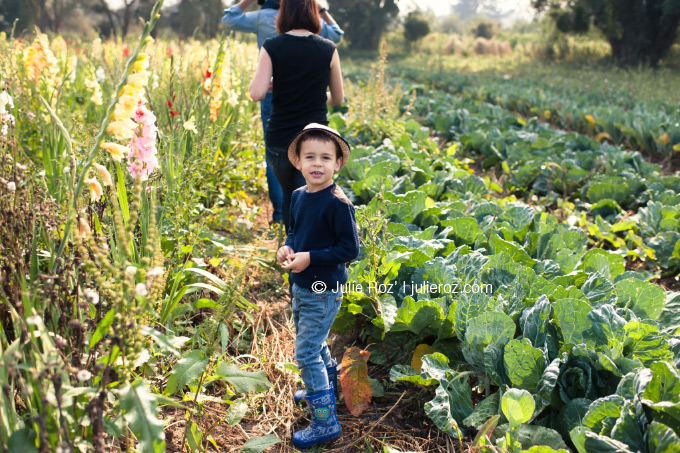 Photographe famille Yvelines, séance photo famille Yvelines 78 : Théo et Lucas_26