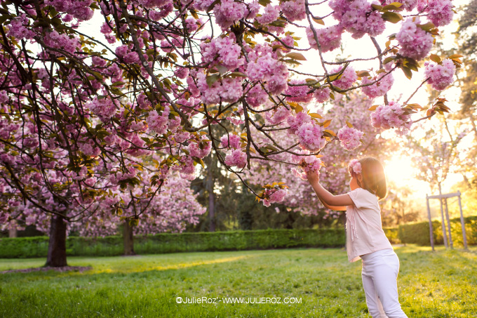 seance_photo_sceaux_cerisiers_92_50 Séance photos mère fille sous les cerisiers en fleurs Sceaux, photographe cerisiers parc Sceaux 92_47