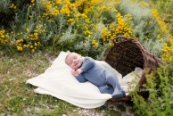Photo de l'article Photographe bébé Issy les Moulineaux : séance photos Tom